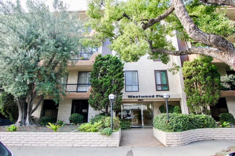 Great apartment living in tree lined Westwood Place