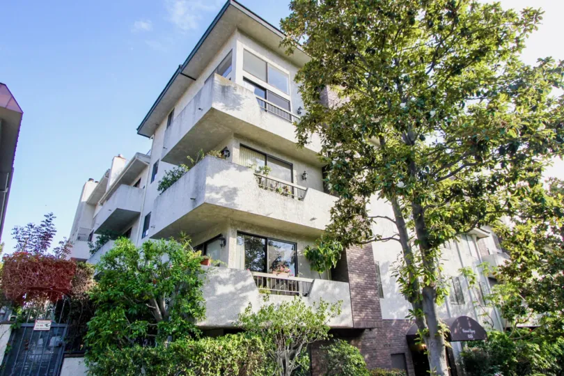 Clean and amazingly green neighbourhood of Westwood Regency, Westwood, california