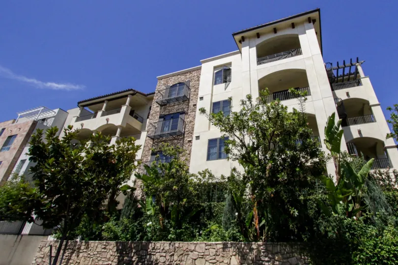 The landscaping of the Wilkins Orviato in Westwood