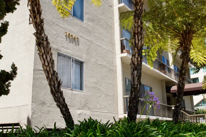 The windows at the Wilshire Lencrest