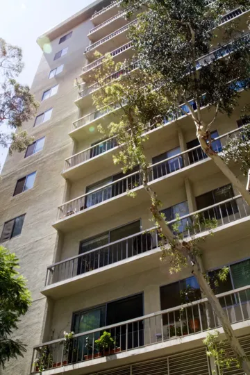 The landscaping at the Wilshire Lencrest in Westwood