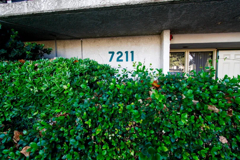 The address for Park Avenue
