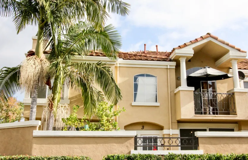 Beautiful palm trees at Applause in the city of Aliso Viejo, California.
