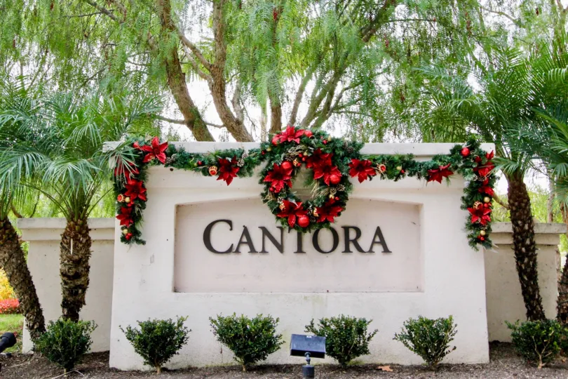 Fantastic Cantora In Aliso Viejo California Country