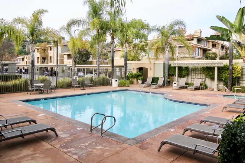 A swimming pool, surrounded by lounge chairs and lush palm trees, in Canyon Point.