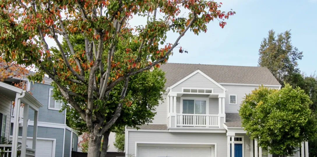 Some sweet buildings in the Cape Series with some flowering trees and shrubs