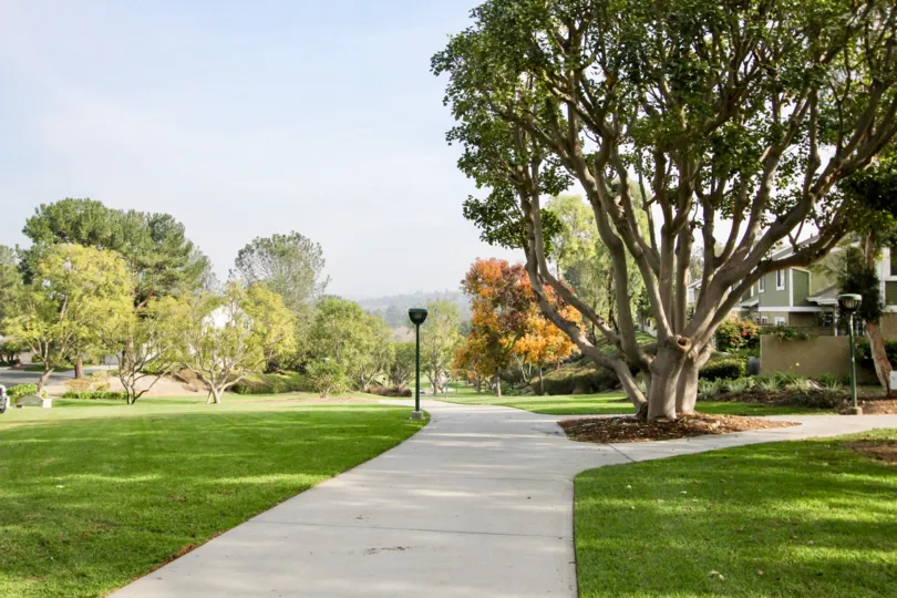 A sunny day a beautiful foot path in the Glenwood Park with some trees, lawn and plants also.