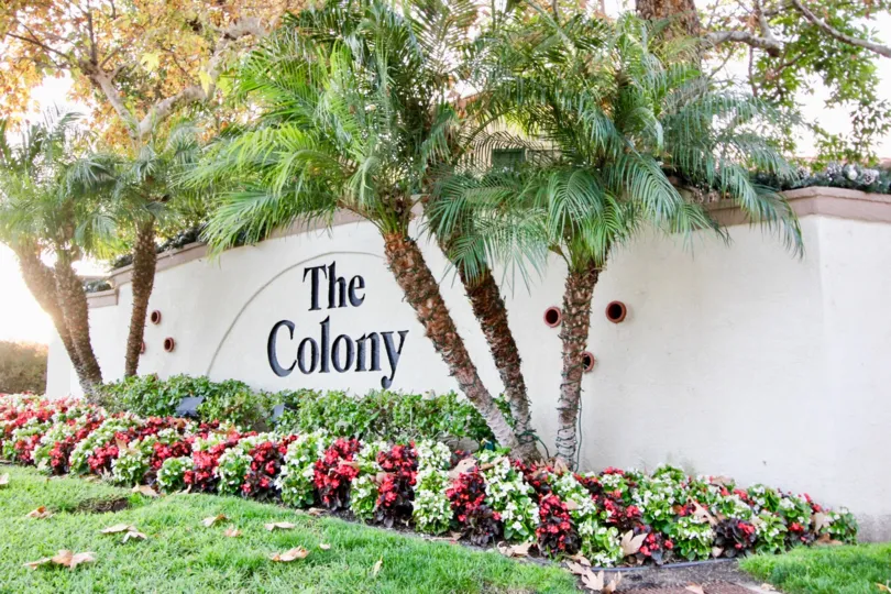 Beautiful greenery surrounding the entryway to Greystone Colony community located in Aliso Viejo, CA.