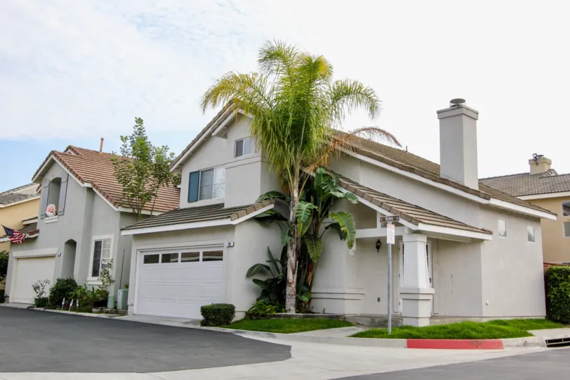 A Hamptons community street corner, featuring a palm tree.