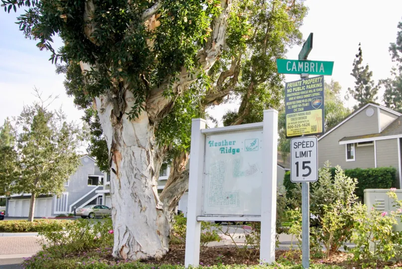 Lovely Heather Ridge In Aliso Viejo California Country
