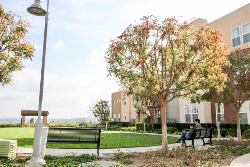 Marvelous Latitudes North In Aliso Viejo California Country