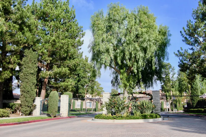 A bright day in the Milano with large trees and gate.