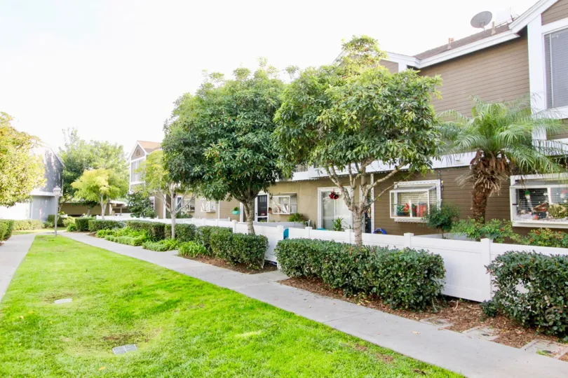 Full, verdant trees and a paved sidewalk line the exterior of Morningside Terrace homes.