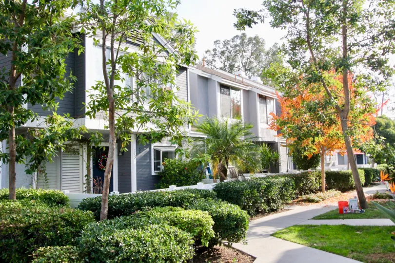 A still of trees surrounding Morningside Terrace of California