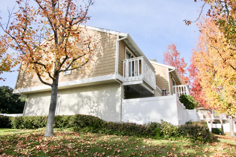 Leaves are changing colors and falling in the yard of a Morningside area home.