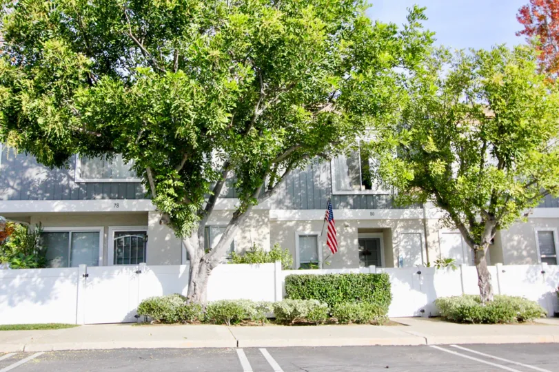 Fabulous Green Trees near villa with sunshine in Morningside of Aliso Viejo