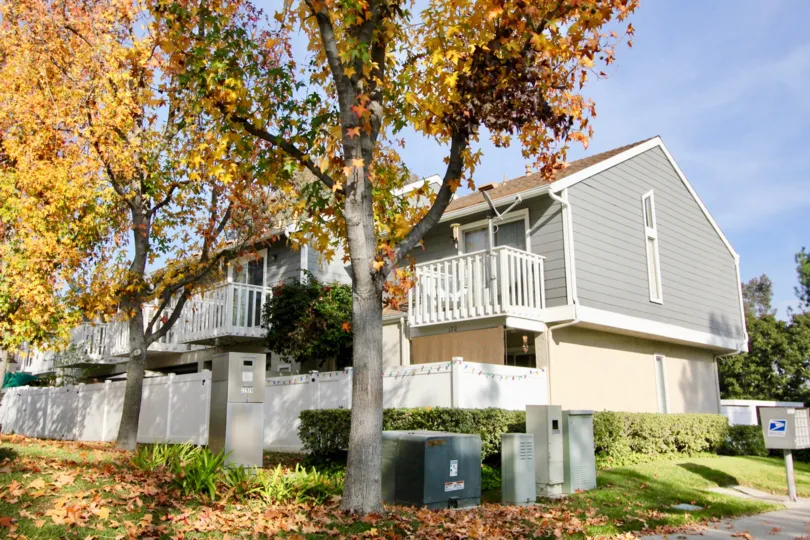 A sunny day in the Morningside with house and trees.