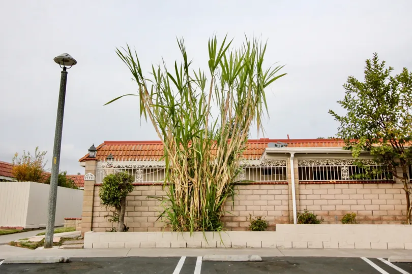 Amazing New World Condos In Aliso Viejo California Country