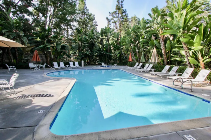 Amazing Orleans In Aliso Viejo California Country