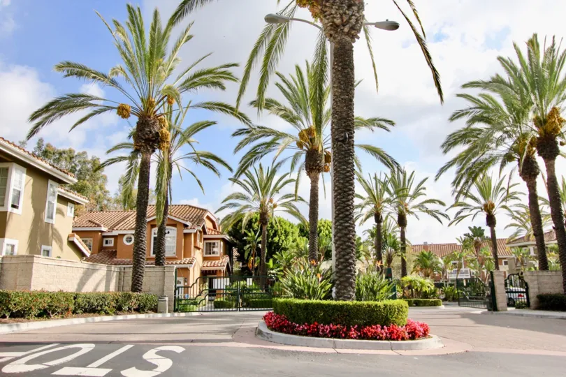 THE FLATS IN THE PROVENCE D'ALISO WITH THE CAR PARKING, TREES, PLANTS