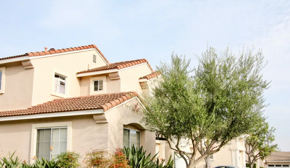 a warm day in the san simeon with house that has tree at front and roofless top