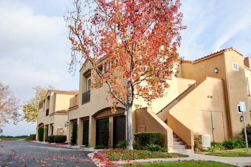 The sunny day in the Seacove Villas a beautiful building and superb design.