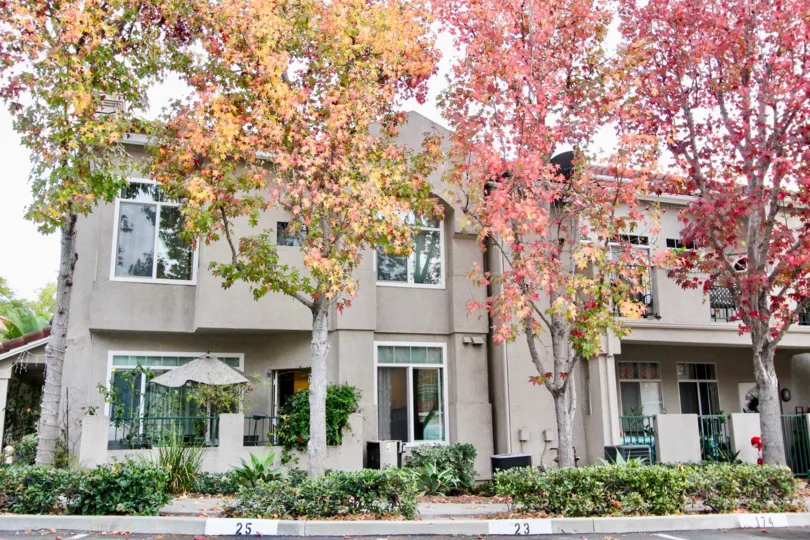 a warm day in the seagate colony with building that has front of tree in flowers
