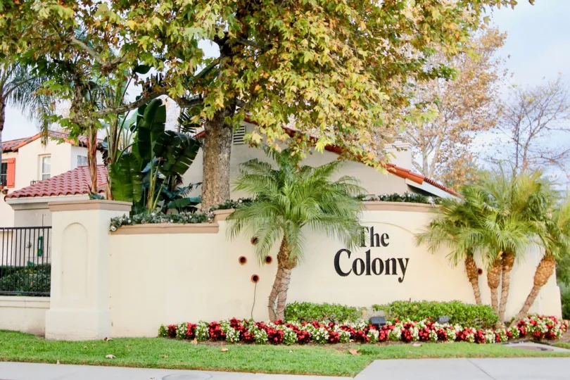 A sunny day big and sweet building in the The Colony with a compound wall and some flowering plants.