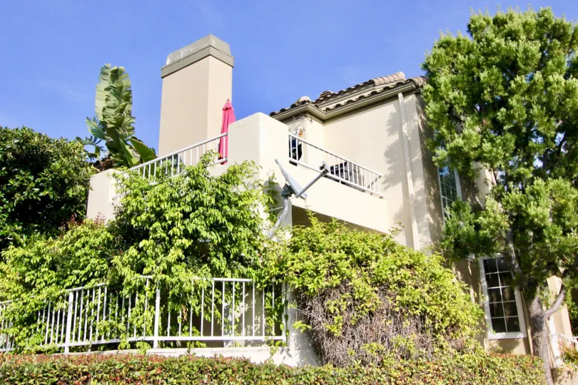 Intense overgrowth of vegetation over a multi-floor building