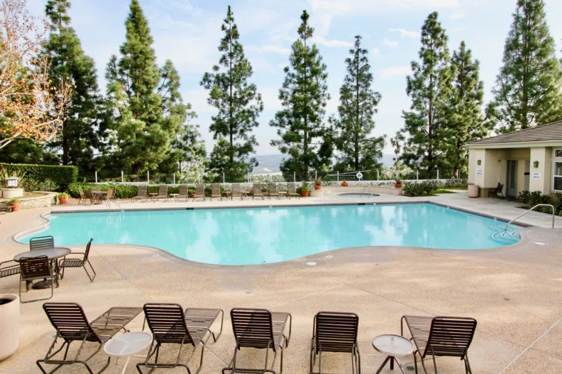 A bright day in the Vista Heights with a swimming pool and pine trees.