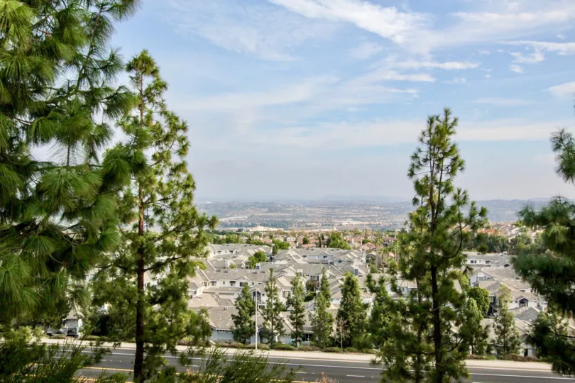 A sunny day in the Vistas Above Wood Canyon with lot of trees and buildings.