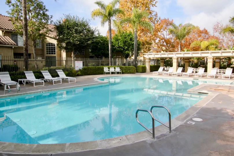 THE SWIMMING POOL IN THE WINDFLOWER WITH THE CHAIRS, PLANTS, HOUSE, TREES