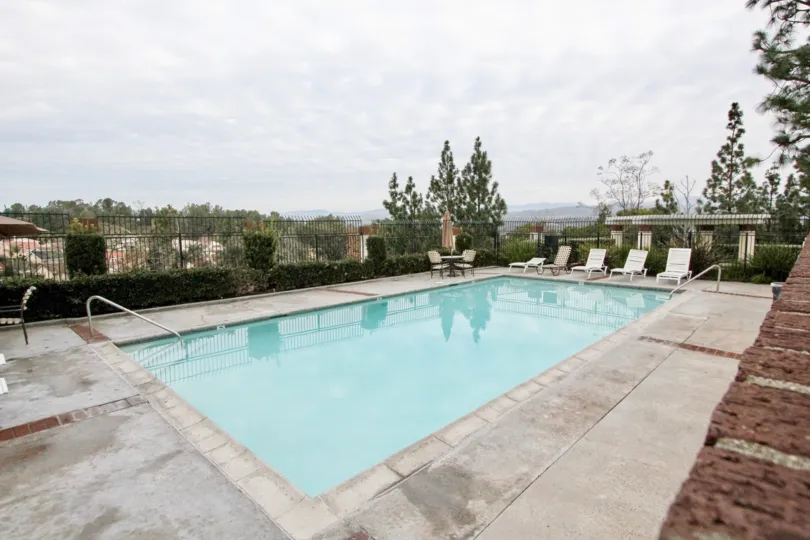 THE FLAT IN THE HAVENHILL WITH THE SWIMMING POOL, PLANTS, CHAIRS, TREES