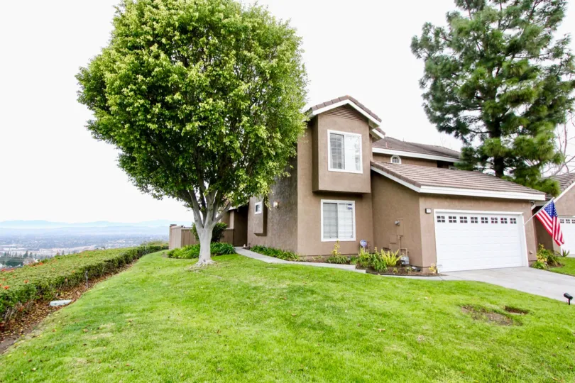 THE HOUSE IN THE HORIZONS WITH THE FLAG, LAWN, TREES, PLANTS
