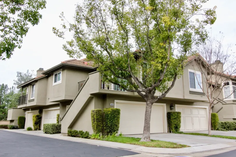 Laurelwood at Sycamore Canyon Building beauty location with tree at Anaheim Hills