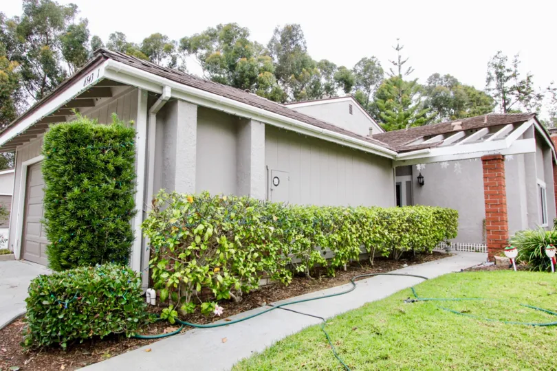 THE FLAT IN THE PARKVIEW TOWNHOMES WITH THE GRASSLAND, PLANTS, TREES