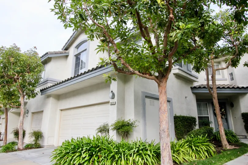 THE HOUSE IN THE VIEWPOINTE NORTH WITH THE SHUTTER, LAWN, PLANTS, TREES