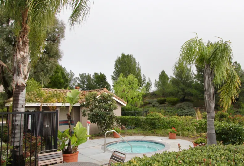 THIS SMALL SWIMMING POOL WHICH IS PLACED IN THE CITY OF ANAHEIM HILLS, THAT LOOKS MANY TREES AND PLANTS WITH FLOWERS ARE SHOWN