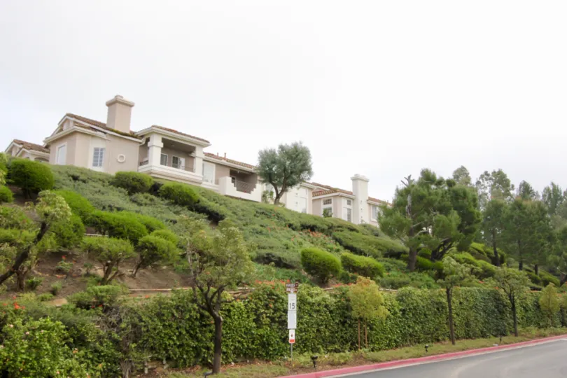THE HOUSE WITH PLANTS AND TREES UNDER THE ROAD WAY IS SITUATED IN ANAHEIM HILLS