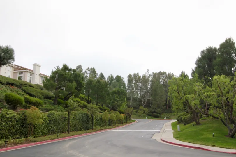 THE HOUSE IN THE VIEWPOINTE WITH THE PLANTS, TREES, LAWN
