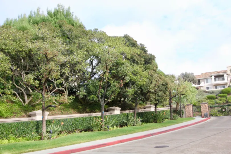 Viewpointe Wall with green Garden in Anaheim Hills