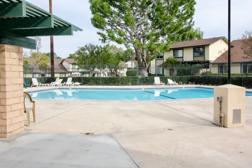 pool decorated with chairs inside the compound wall near building decorated with trees and plants in Windwood