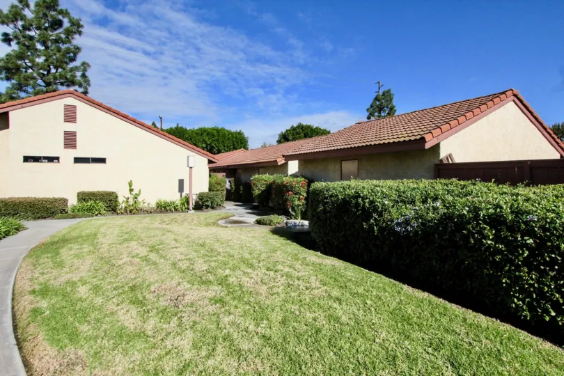 THE HOUSE IN THE CAMERON COURT WITH THE GRASSLAND, TREES, PLANTS