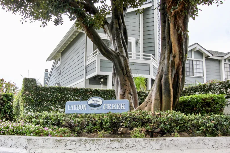 Beautiful welcoming sign at Carbon Creek with a outdoors feeling from a large green tree