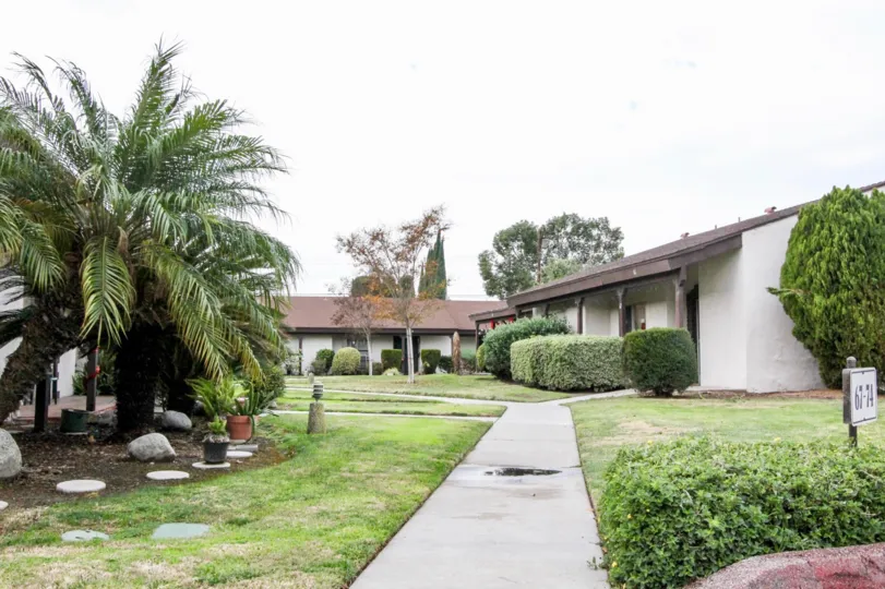 THIS IMAGE REPRESENTS THE PATHWAY TO ENTER HOME IN ANAHEIM, THAT HAVE CROTON PLANTS, TREES, LAWN ON BOTH SIDE