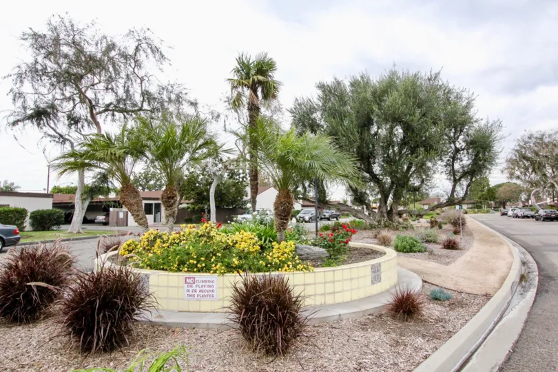 A garden in the middle of a road surrounded by a housing community