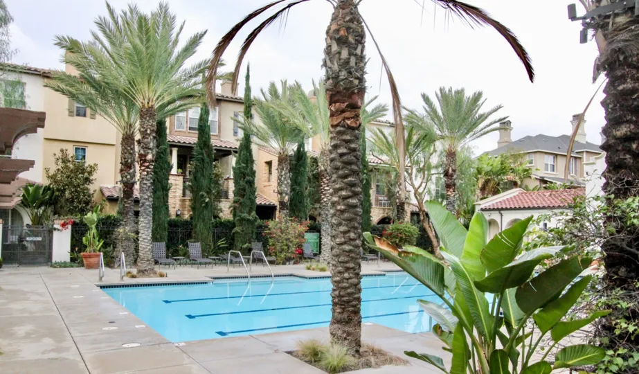 A lap pool surrounded by trees, brush, and an apartment complex