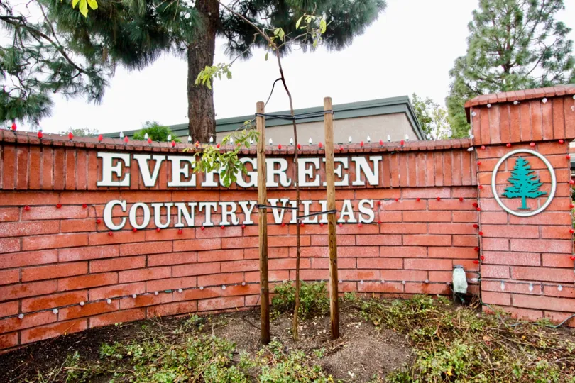 THIS IMAGE VIEWS THE NAME BOARD AND LOGO ON THE WALL ON THE BACKSIDE TREES ARE THERE IN ANAHEIM