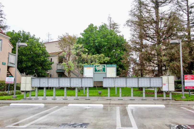 A court in the Evergreen Village surrounded by trees.