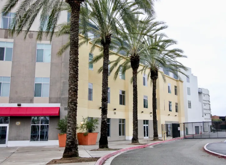 Villas having palm trees with approach road in Harbor Lofts of Anaheim
